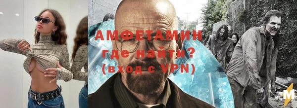 молекула духа Нестеровская