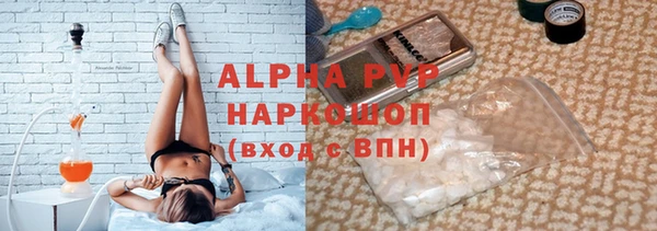 прущие грибы Яранск